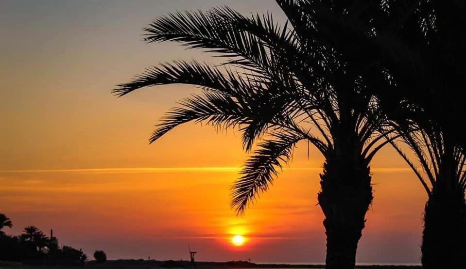 Casa Del Mar Appartement Santa Pola Buitenkant foto